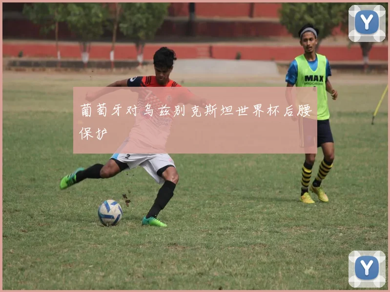 葡萄牙对乌兹别克斯坦世界杯后腰保护