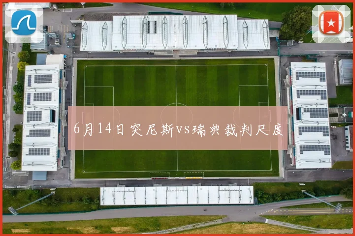6月14日突尼斯vs瑞典裁判尺度