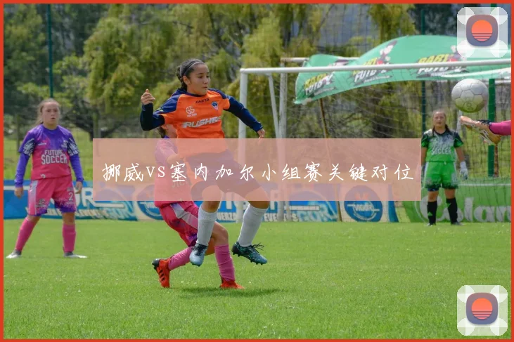 挪威vs塞内加尔小组赛关键对位