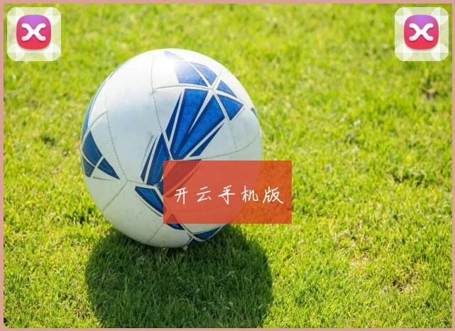 开云手机版