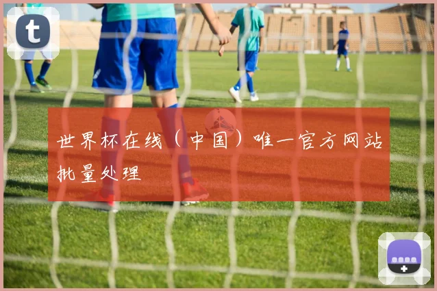 世界杯在线（中国）唯一官方网站批量处理