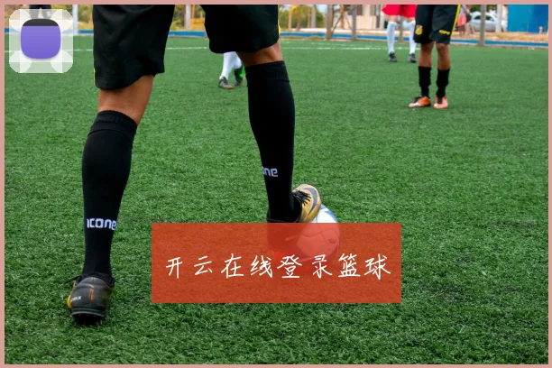 开云在线登录篮球