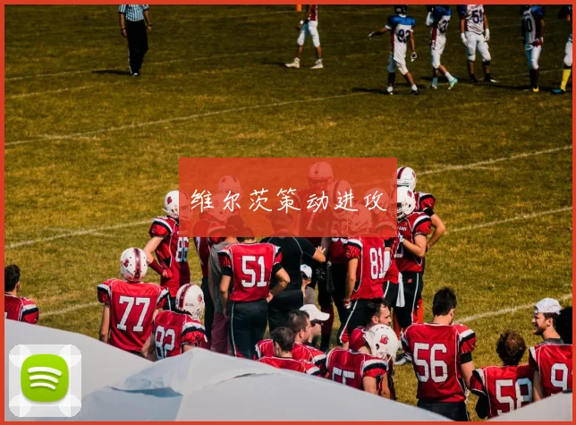 维尔茨策动进攻