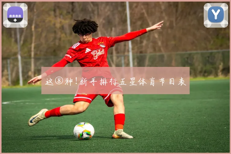 这⑧种!新手排行五星体育节目表
