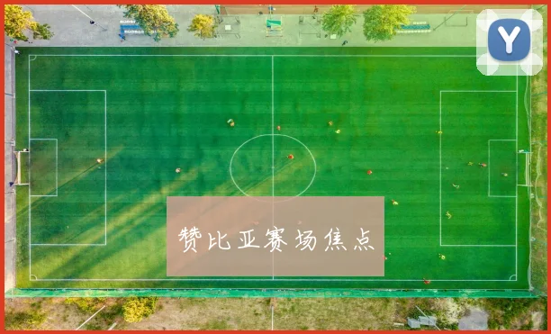 赞比亚赛场焦点