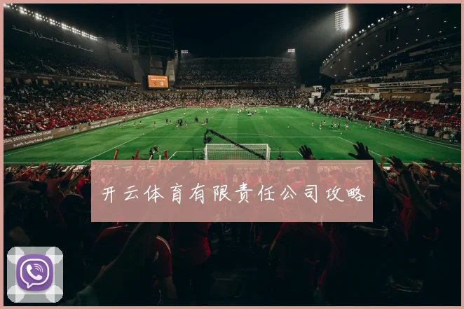 开云体育有限责任公司攻略