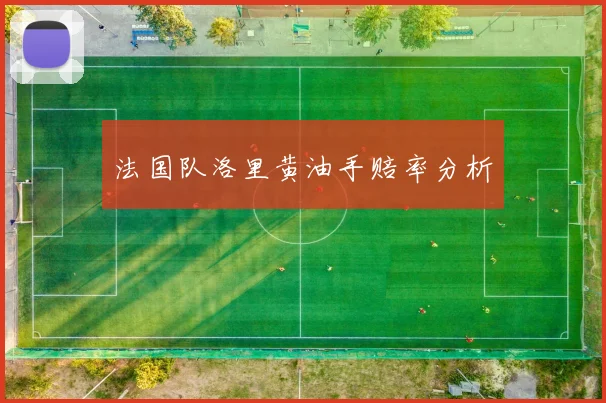 法国队洛里黄油手赔率分析