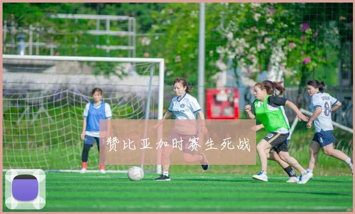 赞比亚加时赛生死战