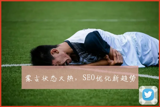 蒙古状态火热，SEO优化新趋势