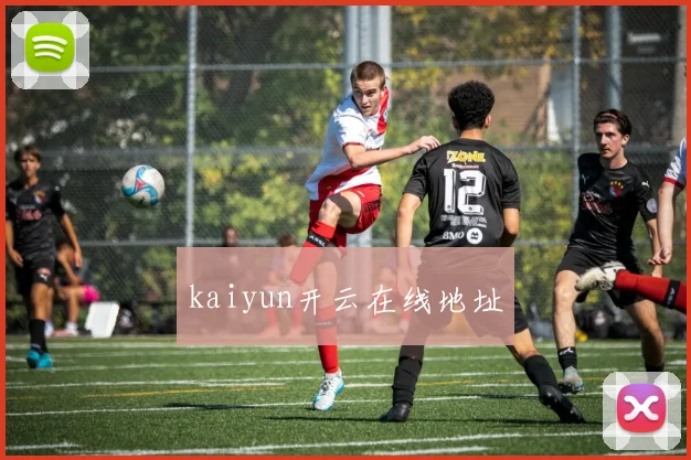 kaiyun开云在线地址