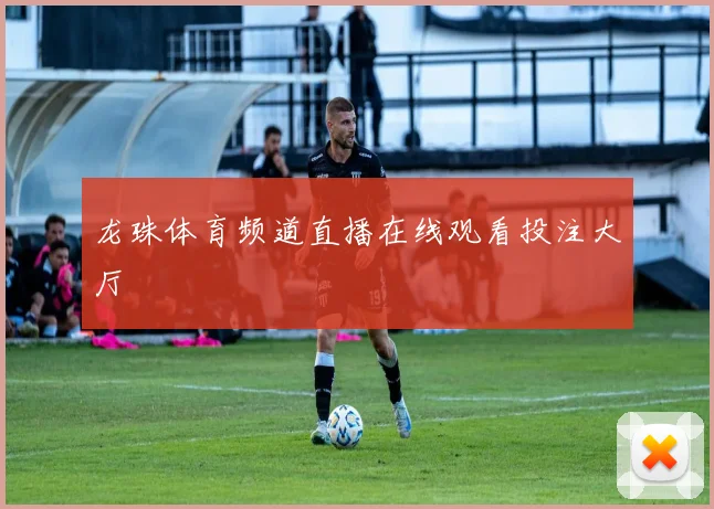 龙珠体育频道直播在线观看投注大厅