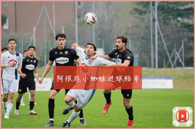 阿根廷小蜘蛛进球赔率