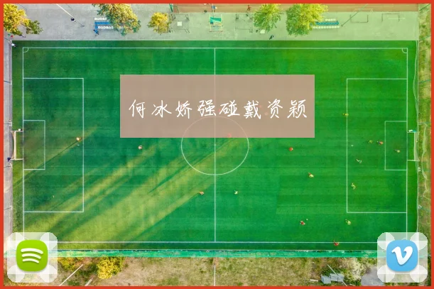 何冰娇强碰戴资颖