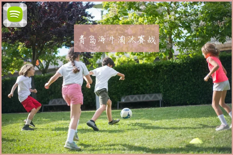 青岛海牛淘汰赛战