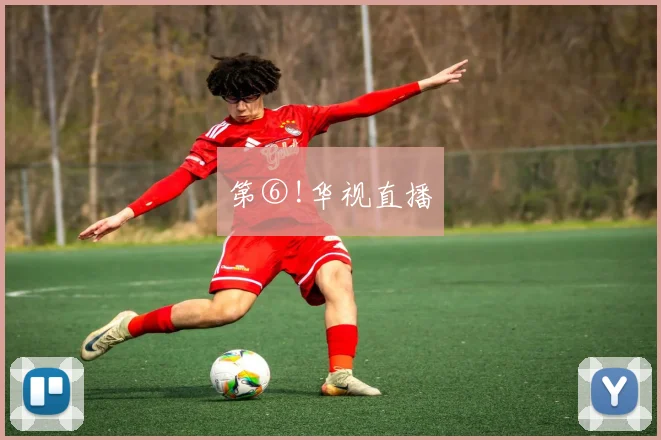 第⑥!华视直播