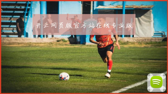 开云网页版官方站在线专业版