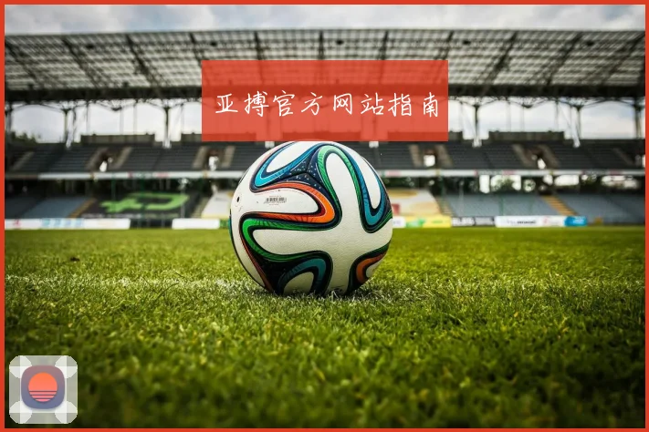 亚搏官方网站指南