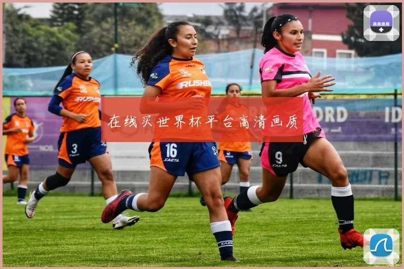 在线买世界杯平台高清画质