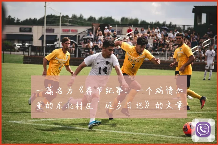 一篇名为《春节纪事：一个病情加重的东北村庄丨返乡日记》的文章在《财经》杂志微信公众号发表