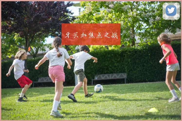 牙买加焦点之战