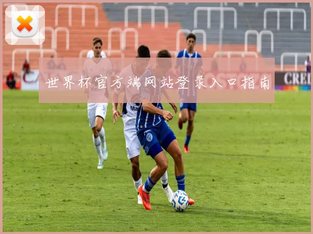 世界杯官方端网站登录入口指南