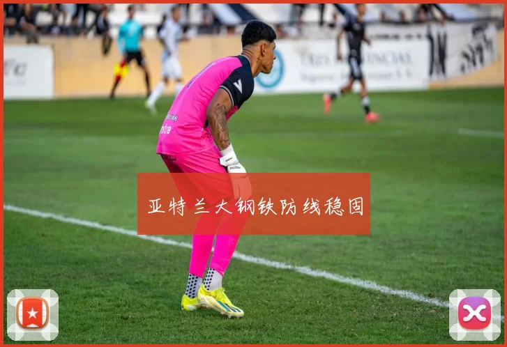 亚特兰大钢铁防线稳固