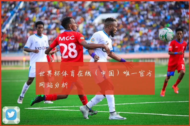 世界杯体育在线（中国）唯一官方网站分析
