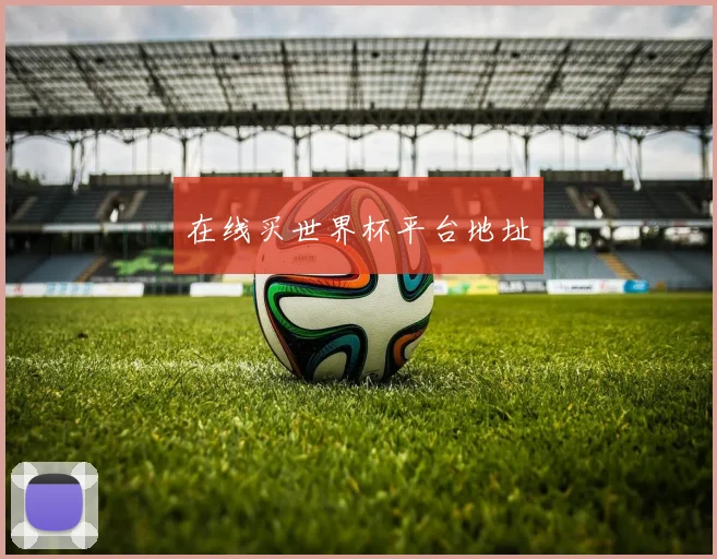 在线买世界杯平台地址