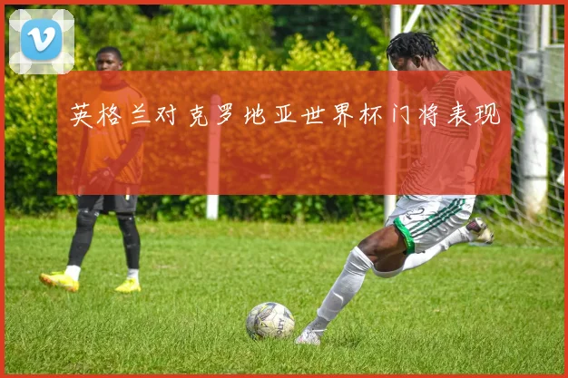 英格兰对克罗地亚世界杯门将表现