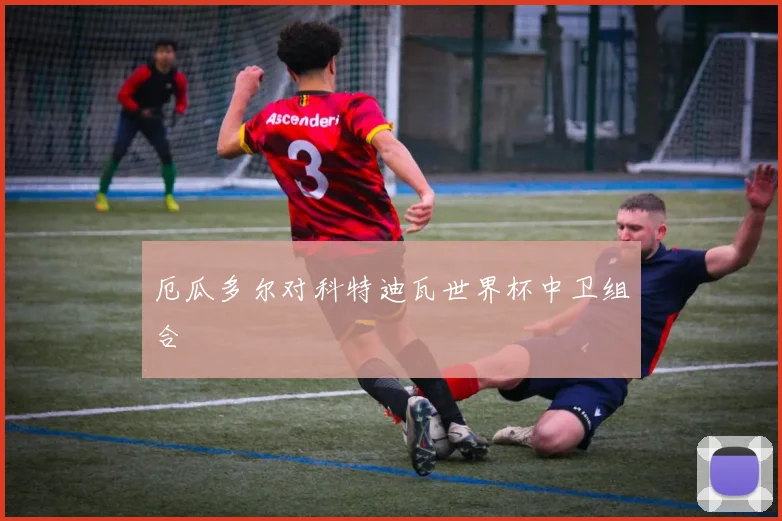 厄瓜多尔对科特迪瓦世界杯中卫组合