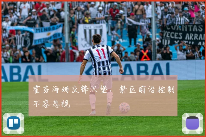 霍芬海姆交锋汉堡，禁区前沿控制不容忽视