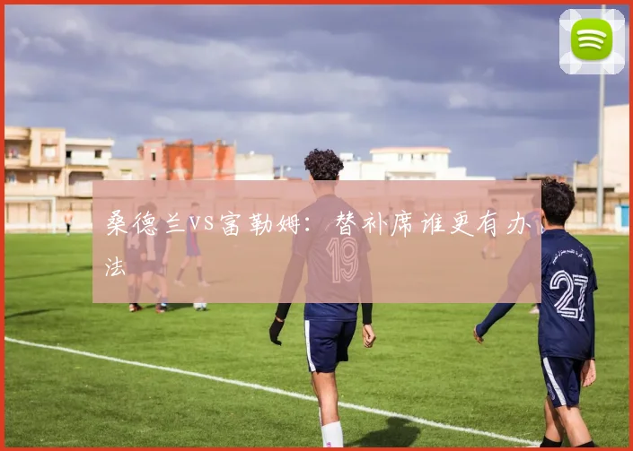 桑德兰vs富勒姆:替补席谁更有办法