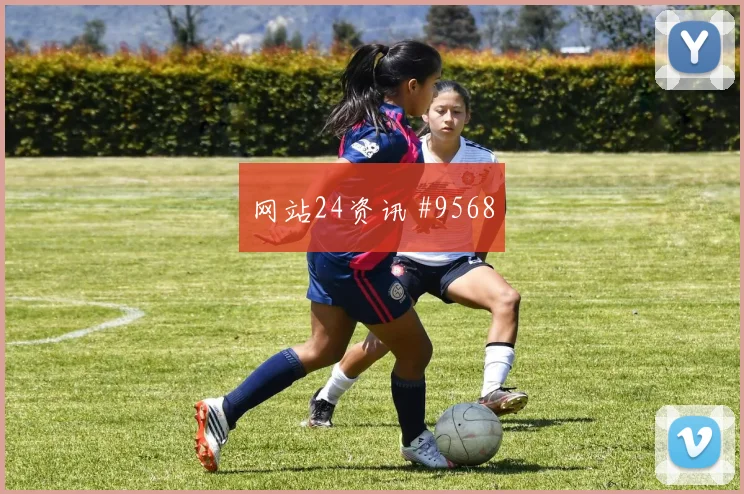 U20世界杯奥斯梅恩连线B费看台炸裂