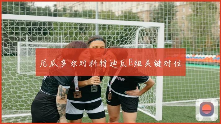 厄瓜多尔对科特迪瓦E组关键对位